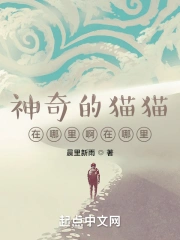 神奇的猫猫在哪里啊在哪里