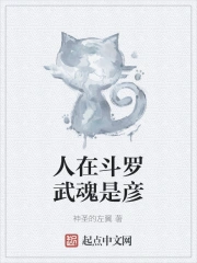 人在斗罗武魂是彦