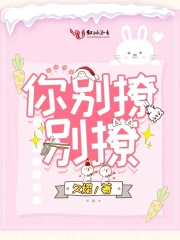 你别撩别撩