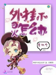 外挂不灵怎么办