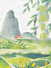 狐狸夏洛尔
