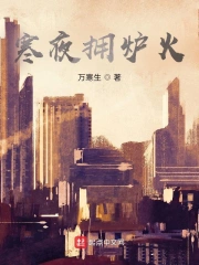 寒夜拥炉火