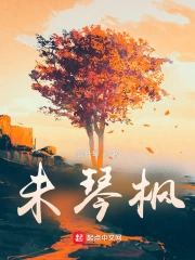 未琴枫