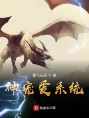 神宠爱系统