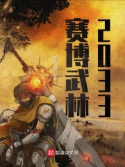 赛博武林2033