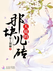 天庭的那块儿砖
