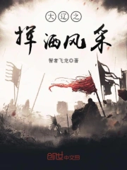 大辽之挥洒风采