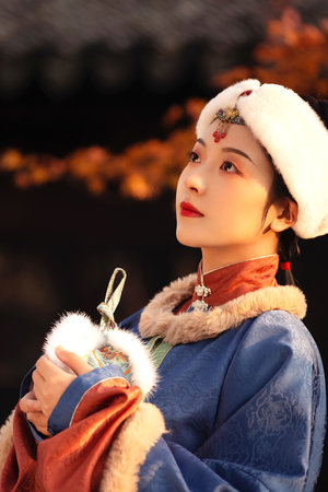 王妃她又美又飒