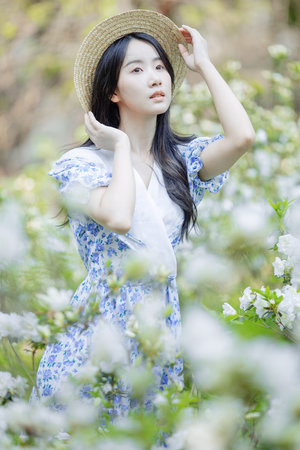 原来只是芙蓉错过